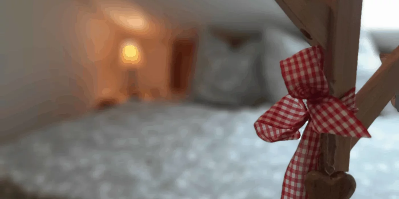 Schwalbennest Ferienwohnung bis 4 Personen am Arkaddenhof