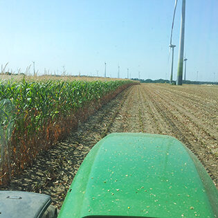 Landwirtschaft Am Arkadenhof - Familie Bayer Unser Betrieb Am Arkadenhof