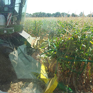 Landwirtschaft Am Arkadenhof - Familie Bayer Landwirtschaft Am Arkadenhof