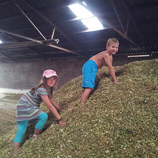 Landwirtschaft Am Arkadenhof - Familie Bayer Landwirtschaft Am Arkadenhof