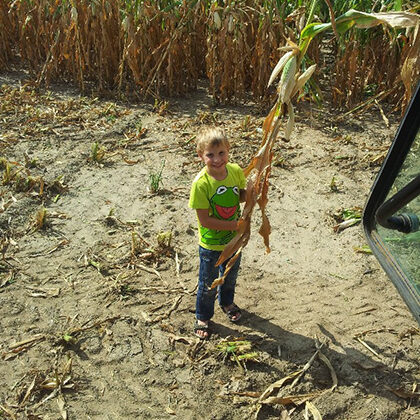 Landwirtschaft Am Arkadenhof - Familie Bayer Landwirtschaft Am Arkadenhof