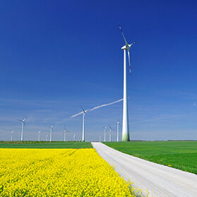 Landwirtschaft Am Arkadenhof - Familie Bayer Landwirtschaft Am Arkadenhof