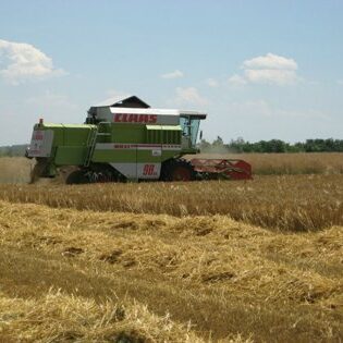 Landwirtschaft Am Arkadenhof - Familie Bayer Landwirtschaft Am Arkadenhof