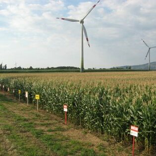 Landwirtschaft Am Arkadenhof - Familie Bayer Landwirtschaft Am Arkadenhof