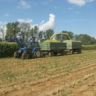 Landwirtschaft Am Arkadenhof - Familie Bayer Landwirtschaft Am Arkadenhof