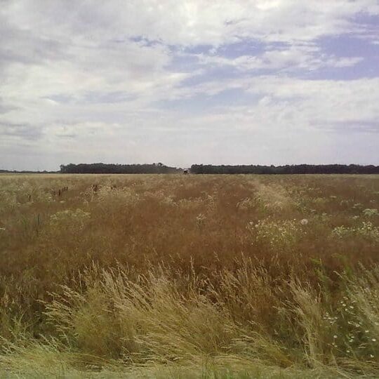 Unser Betrieb Am Arkadenhof