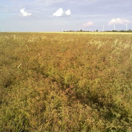 Unser Betrieb Am Arkadenhof