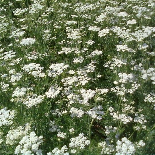 Ausflugsziele Am Arkadenhof