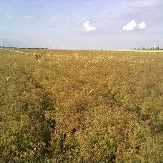 Ausflugsziele Am Arkadenhof