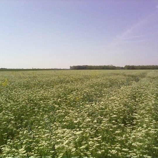 Ausflugsziele Am Arkadenhof