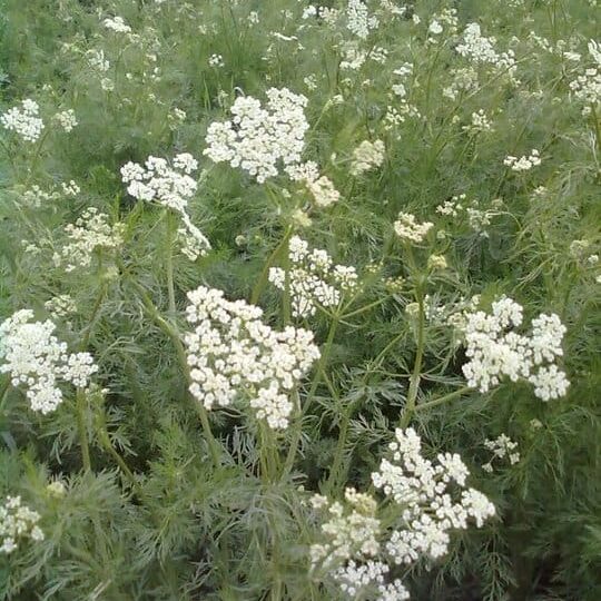 Ausflugsziele Am Arkadenhof