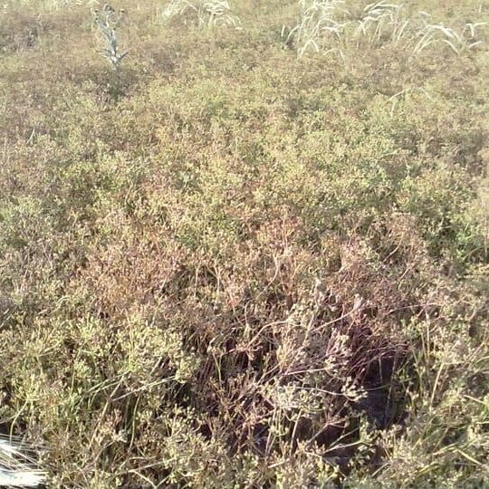 Ausflugsziele Am Arkadenhof