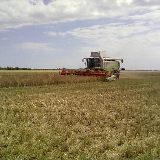 Unser Betrieb Am Arkadenhof