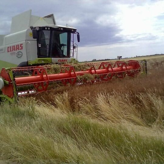 Landwirtschaft Am Arkadenhof