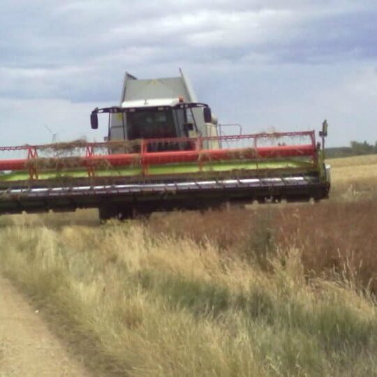 Unser Betrieb Am Arkadenhof