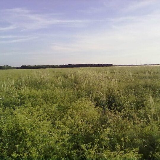 Unser Betrieb Am Arkadenhof