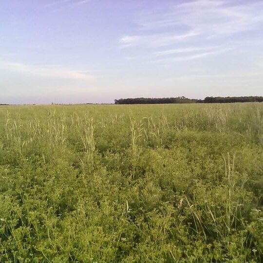Unser Betrieb Am Arkadenhof