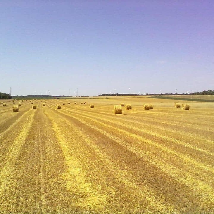 Unser Betrieb Am Arkadenhof