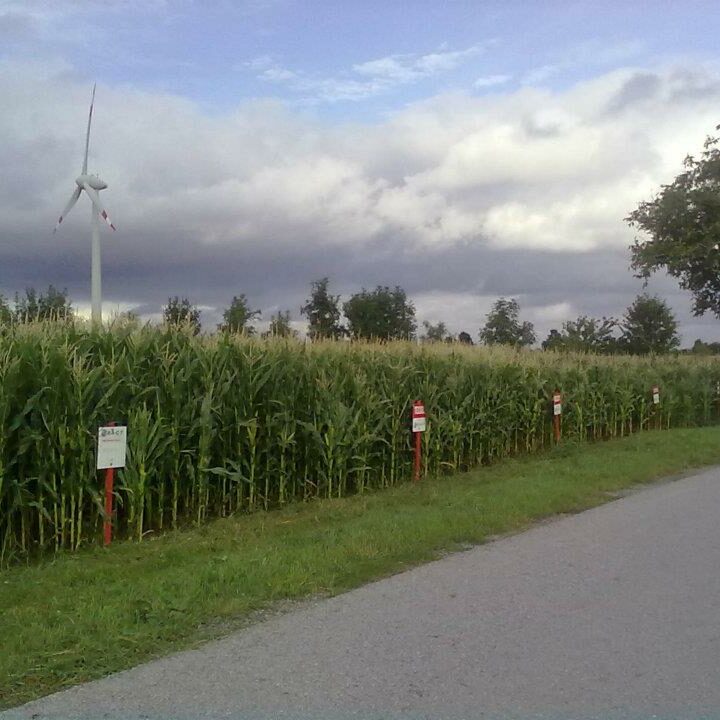 Ausflugsziele Am Arkadenhof