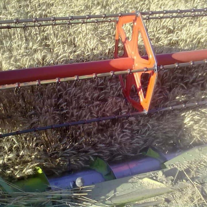 Unser Betrieb Am Arkadenhof