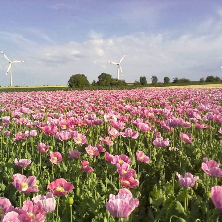 Ausflugsziele Am Arkadenhof