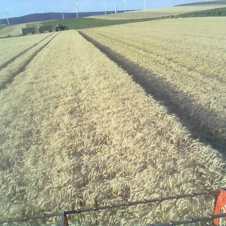 Ausflugsziele Am Arkadenhof